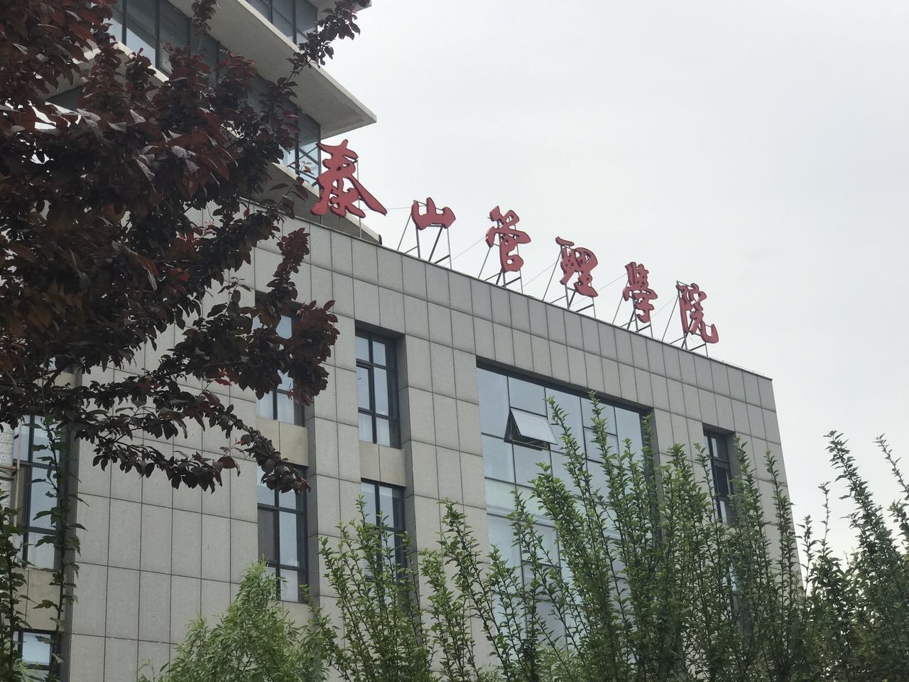 泰山管理学院