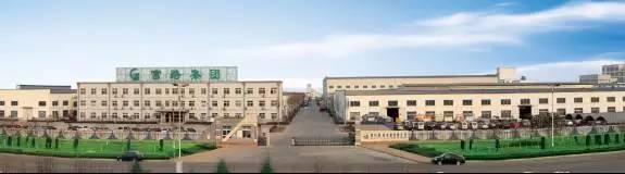 富路集团