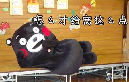 怎么才给我这么点