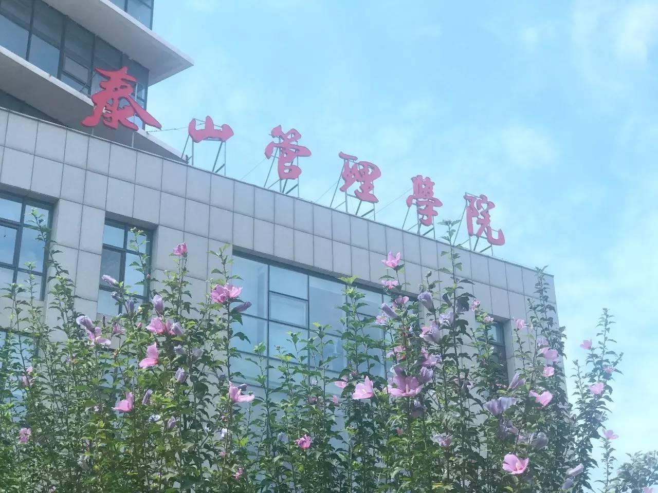 泰山管理学院