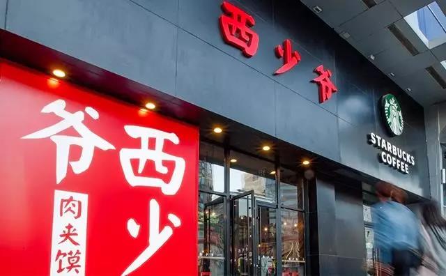 股权分配方案设计