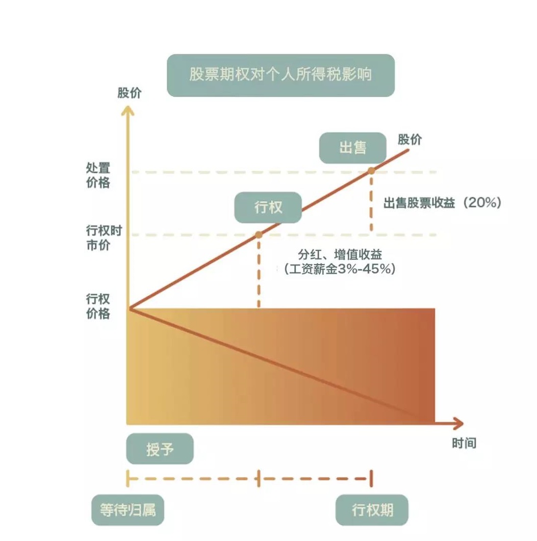 股权分配方案设计