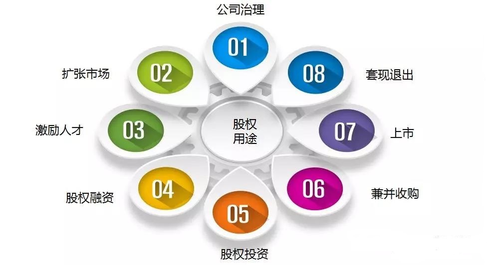股权分配方案设计