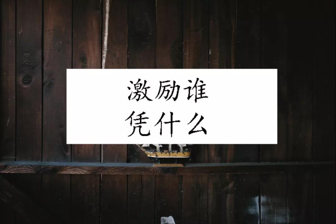 股权分配方案设计